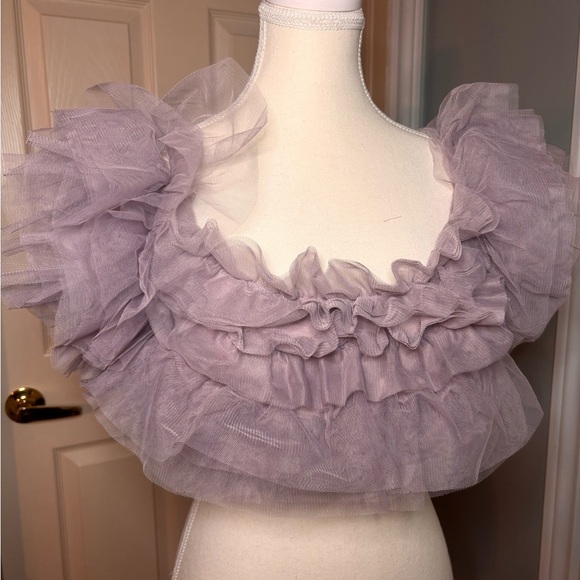 NWT Free People Intimately Oyster Mauve Tulle Crop Top - Picture 2 of 8